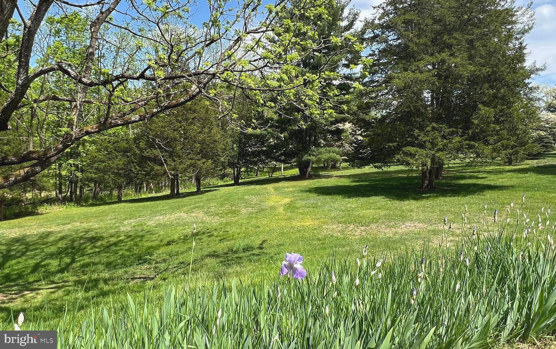 562 Headquarters Road Ottsville, PA 18942 - Photo 42 of 44 View of the backyrd