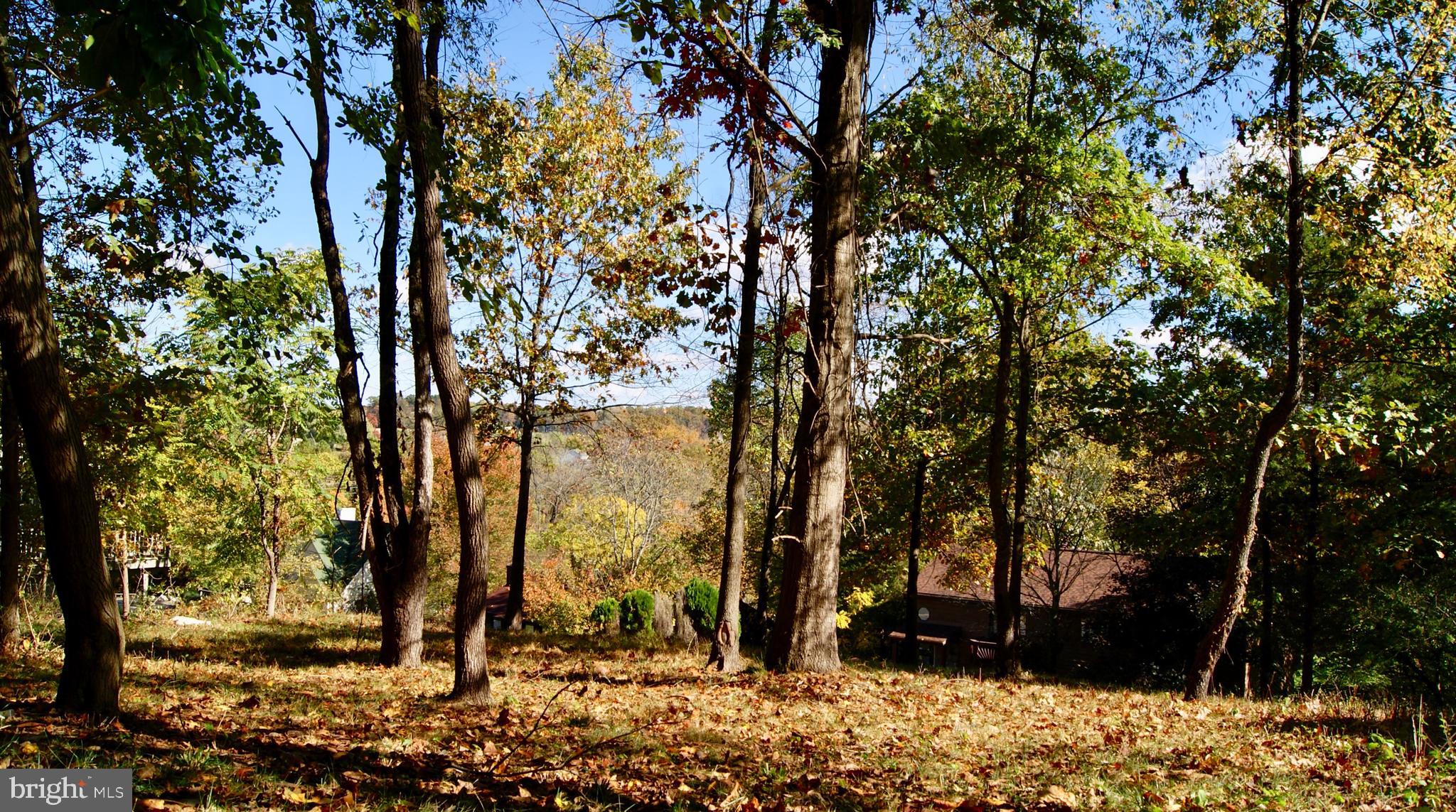 6952 Meadowlake Road New Market, MD 21774 - Photo 1 of 18 Gorgeous lot w/ beautiful house site.