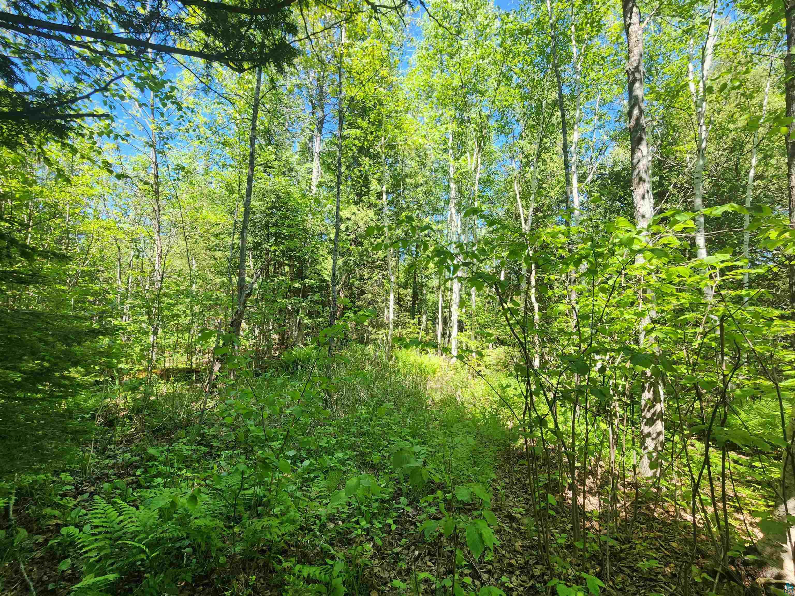 15 X Ski Hill Road Lutsen, MN 55612 - Photo 8 of 16