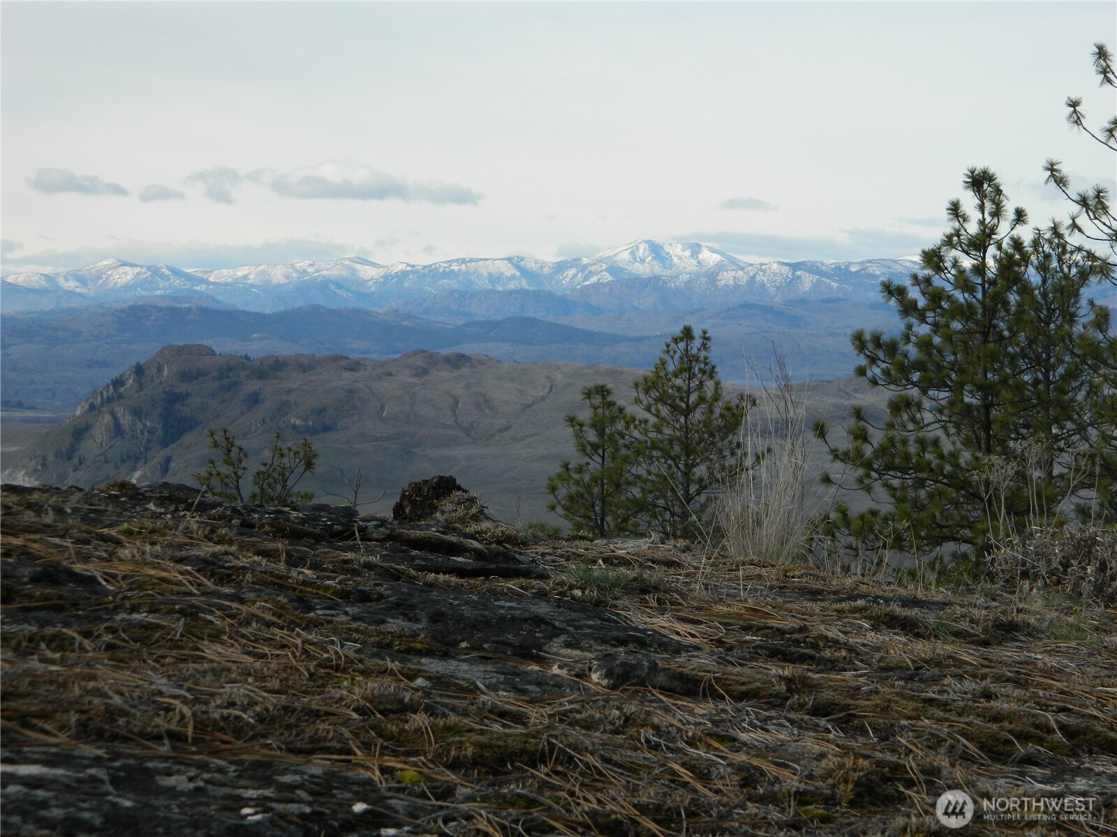 28 Ridgeline Road Tonasket, WA 98855 - Photo 8 of 19 a view of a lake in middle of forest