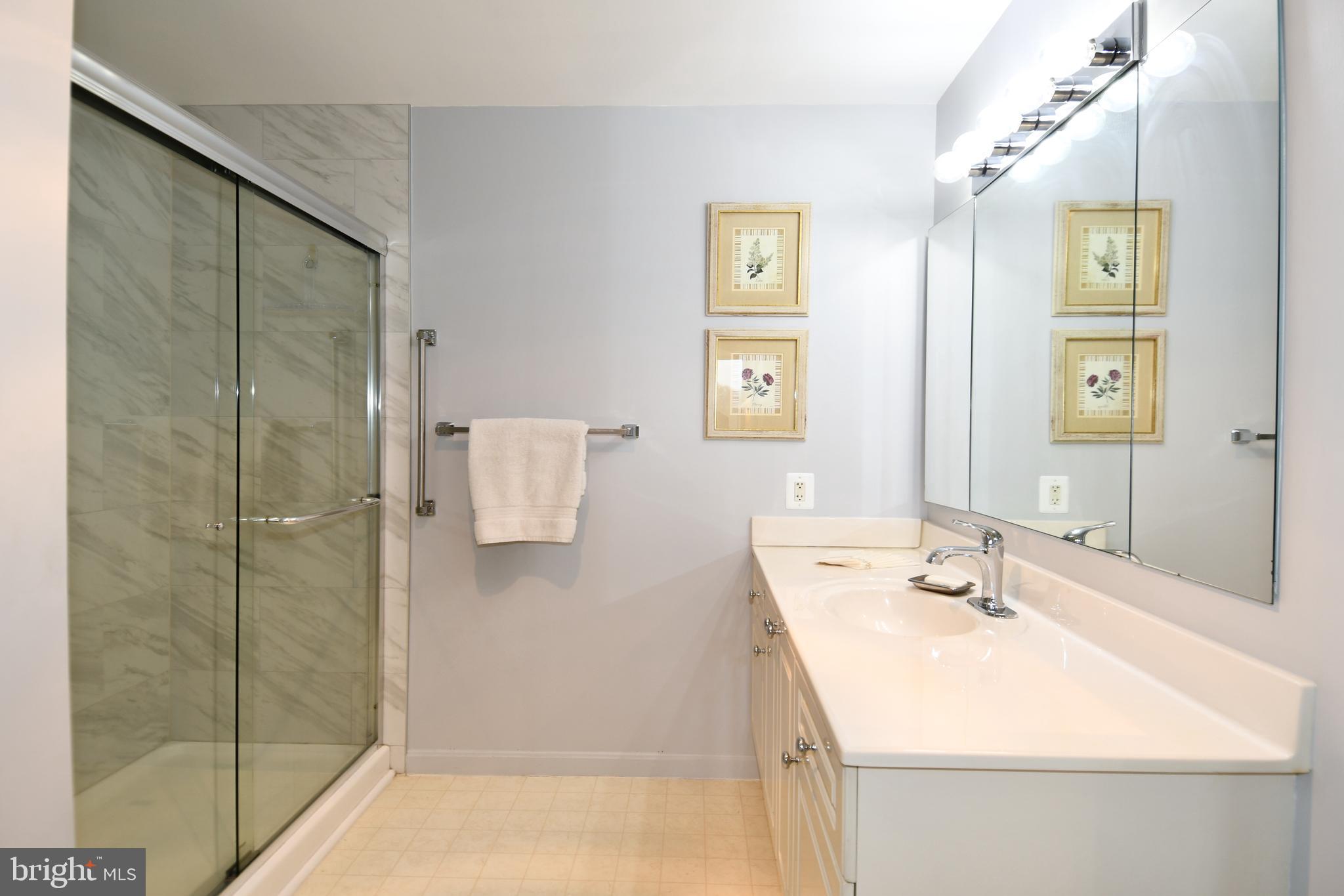 3210 North Leisure World Boulevard, Unit 519 Silver Spring, MD 20906 - Photo 23 of 64 a bathroom with a sink a toilet and shower