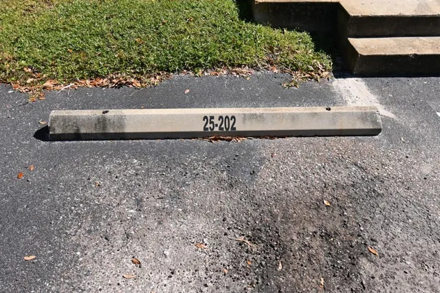 a view of a lake from a yard