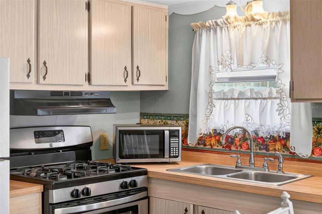 684 Cindi Avenue Leesburg, FL 34788 - Photo 11 of 60 a kitchen with granite countertop a stove and a sink