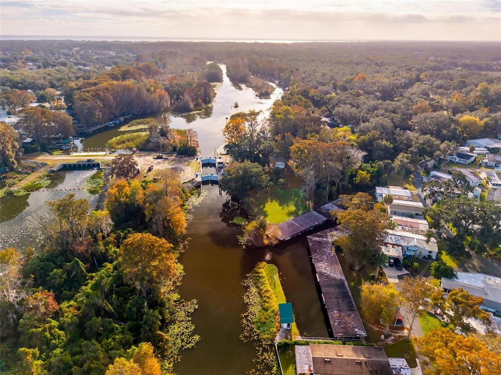 684 Cindi Avenue Leesburg, FL 34788 - Photo 56 of 60