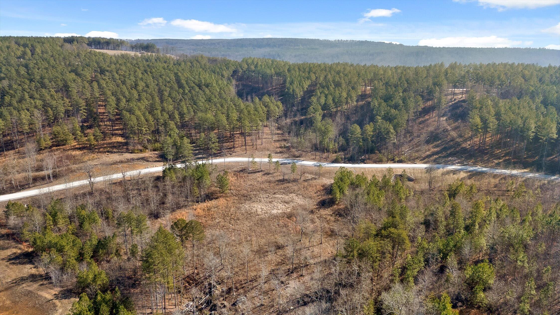 0 Birds Eye Way, Unit 1066 Guild, TN 37340 - Photo 11 of 26 53-Birds Eye Lot 1066-37