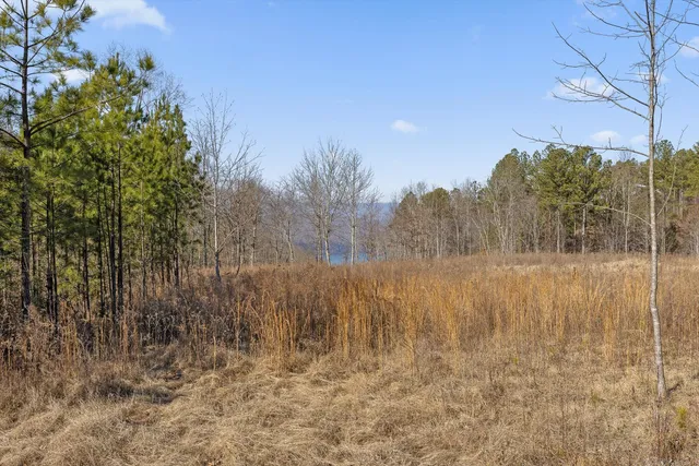 $630,000 | 0 Birds Eye Way, Unit 1066, Guild, TN 37340