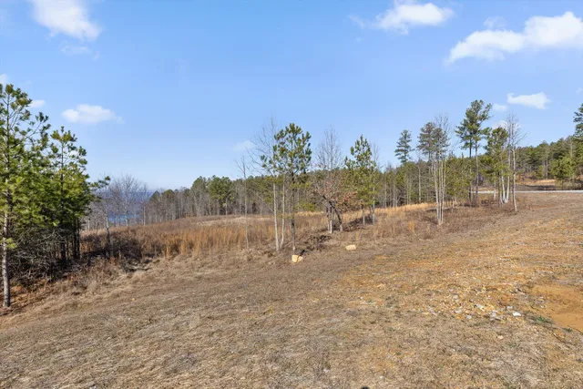 $630,000 | 0 Birds Eye Way, Unit 1066, Guild, TN 37340