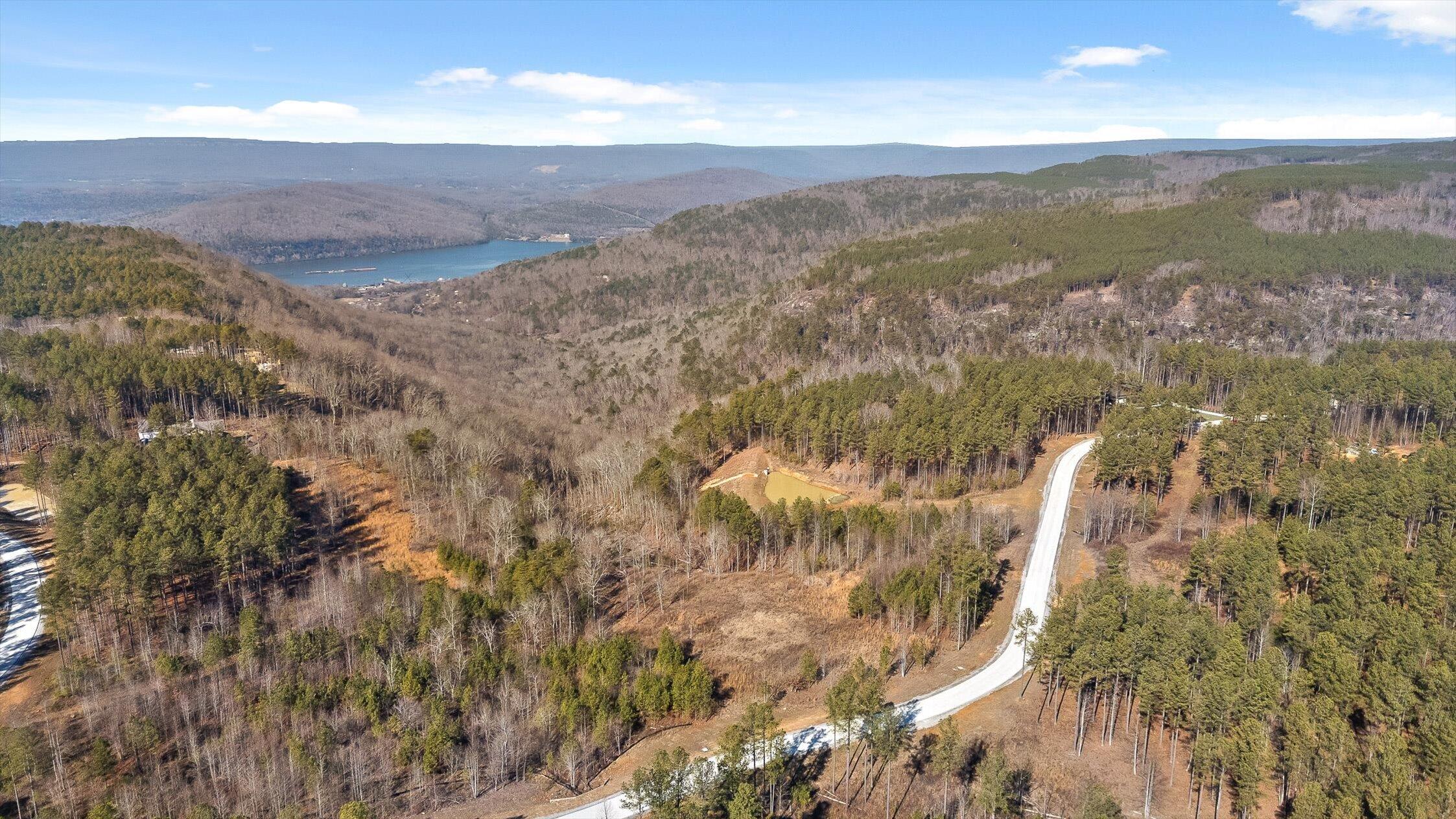 0 Birds Eye Way, Unit 1066 Guild, TN 37340 - Photo 3 of 26 60-Birds Eye Lot 1066-44