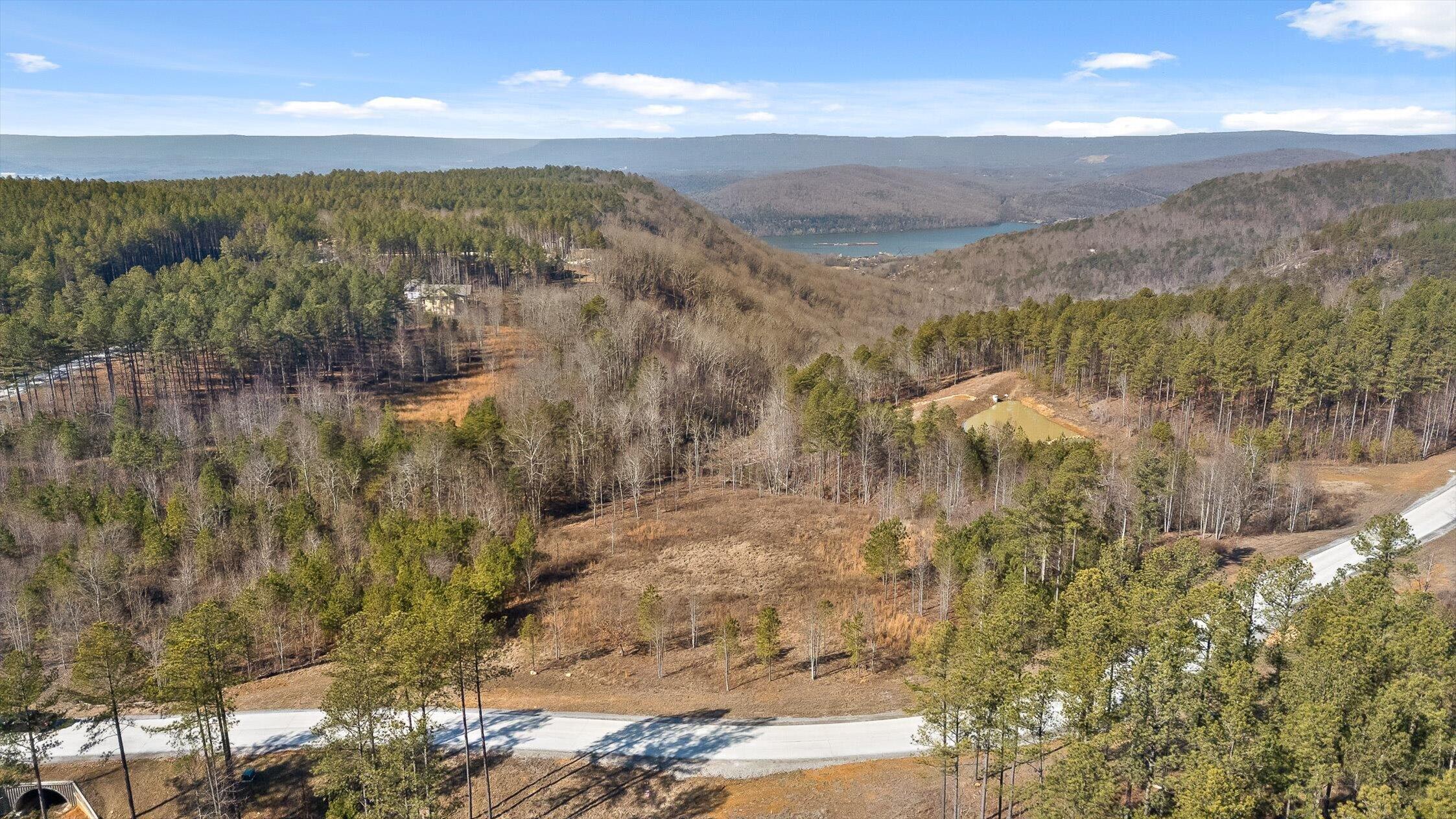 0 Birds Eye Way, Unit 1066 Guild, TN 37340 - Photo 8 of 26 49-Birds Eye Lot 1066-33