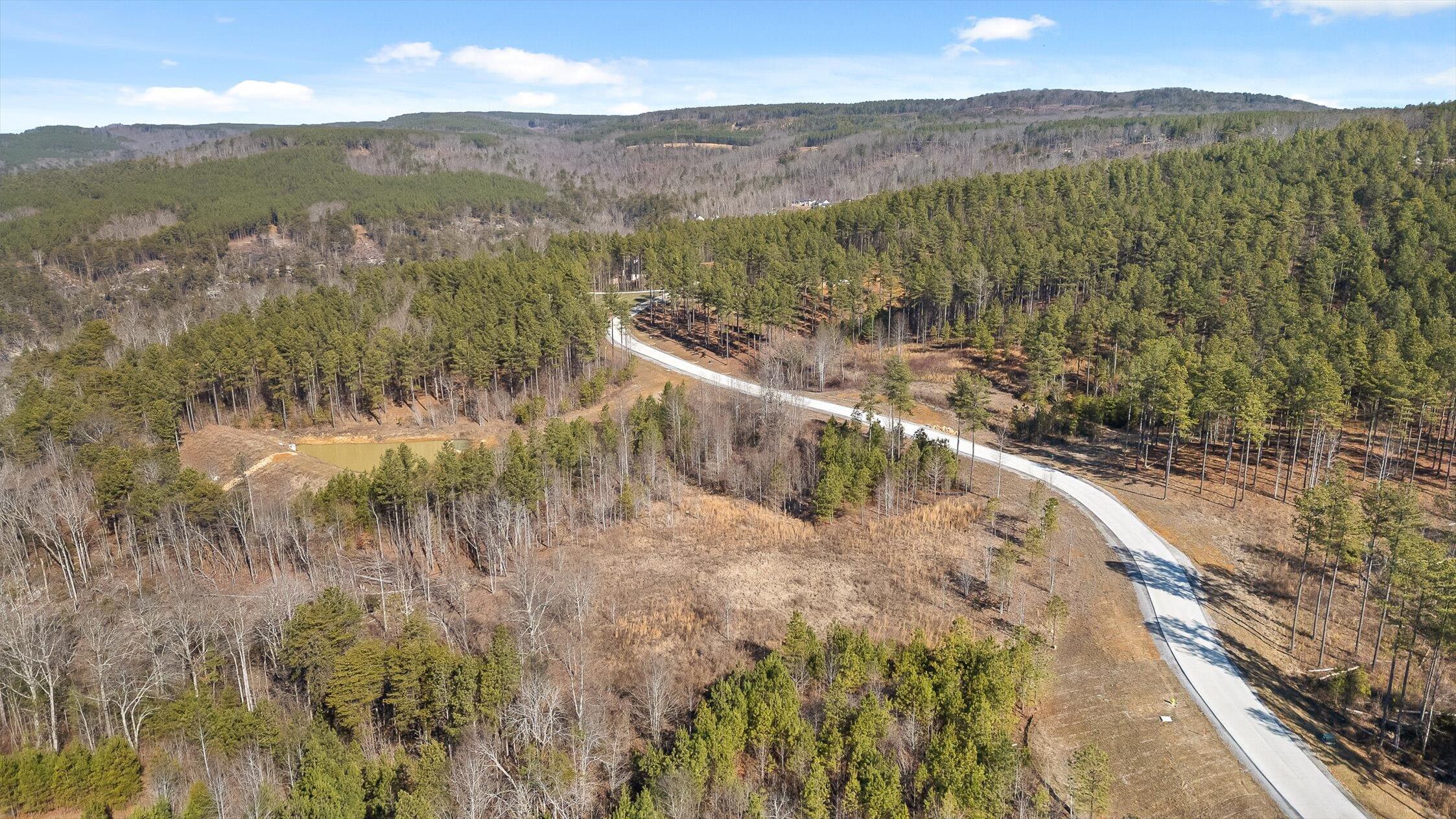 0 Birds Eye Way, Unit 1066 Guild, TN 37340 - Photo 9 of 26 51-Birds Eye Lot 1066-35