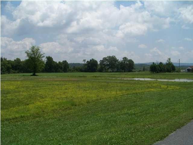 1086 Water Front Place Jasper, TN 37347 - Photo 9 of 9 Gallery Image 9