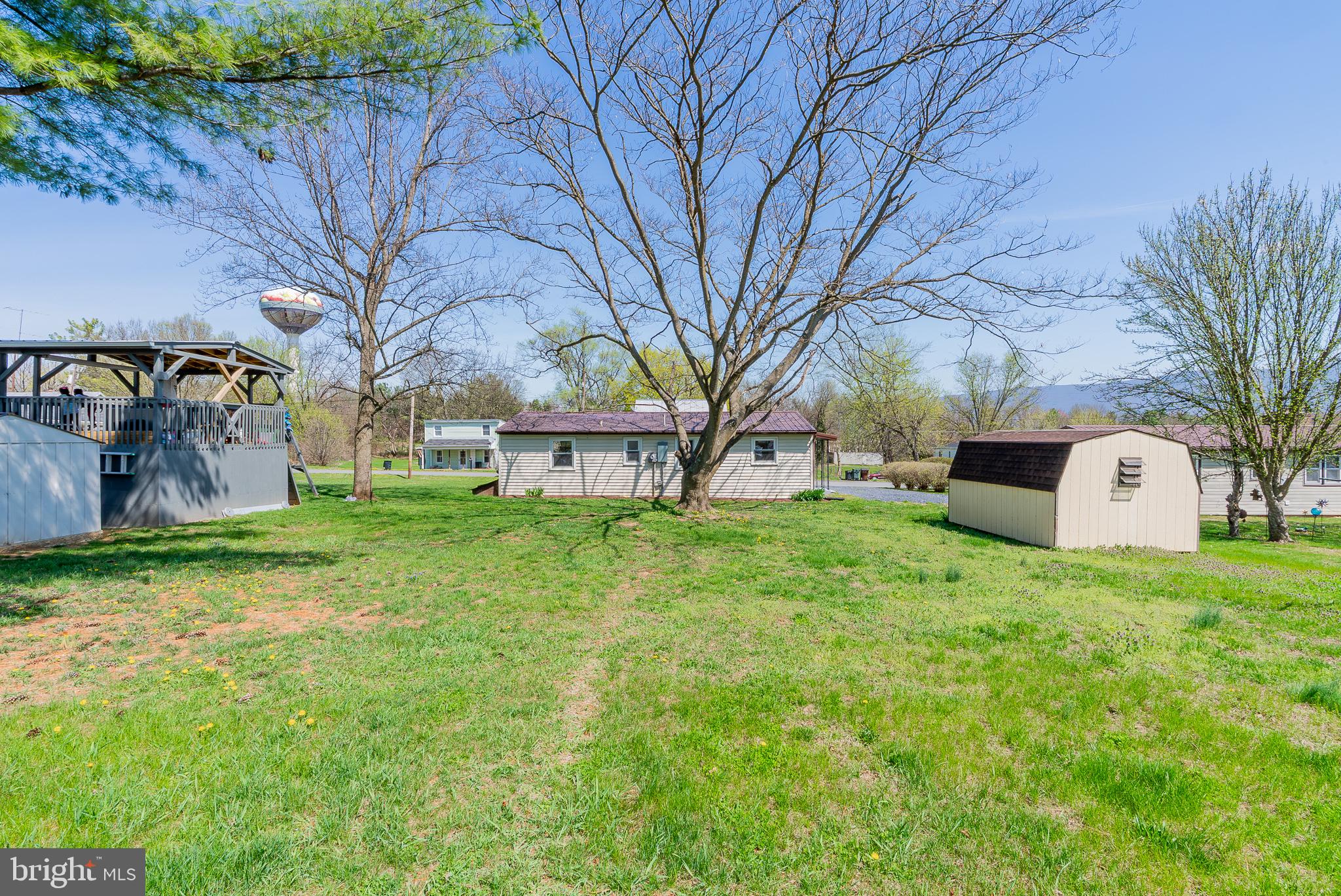 329 Dutch Mount Mount Jackson, VA 22842 - Photo 40 of 50 Spacious yard with serene surroundings.