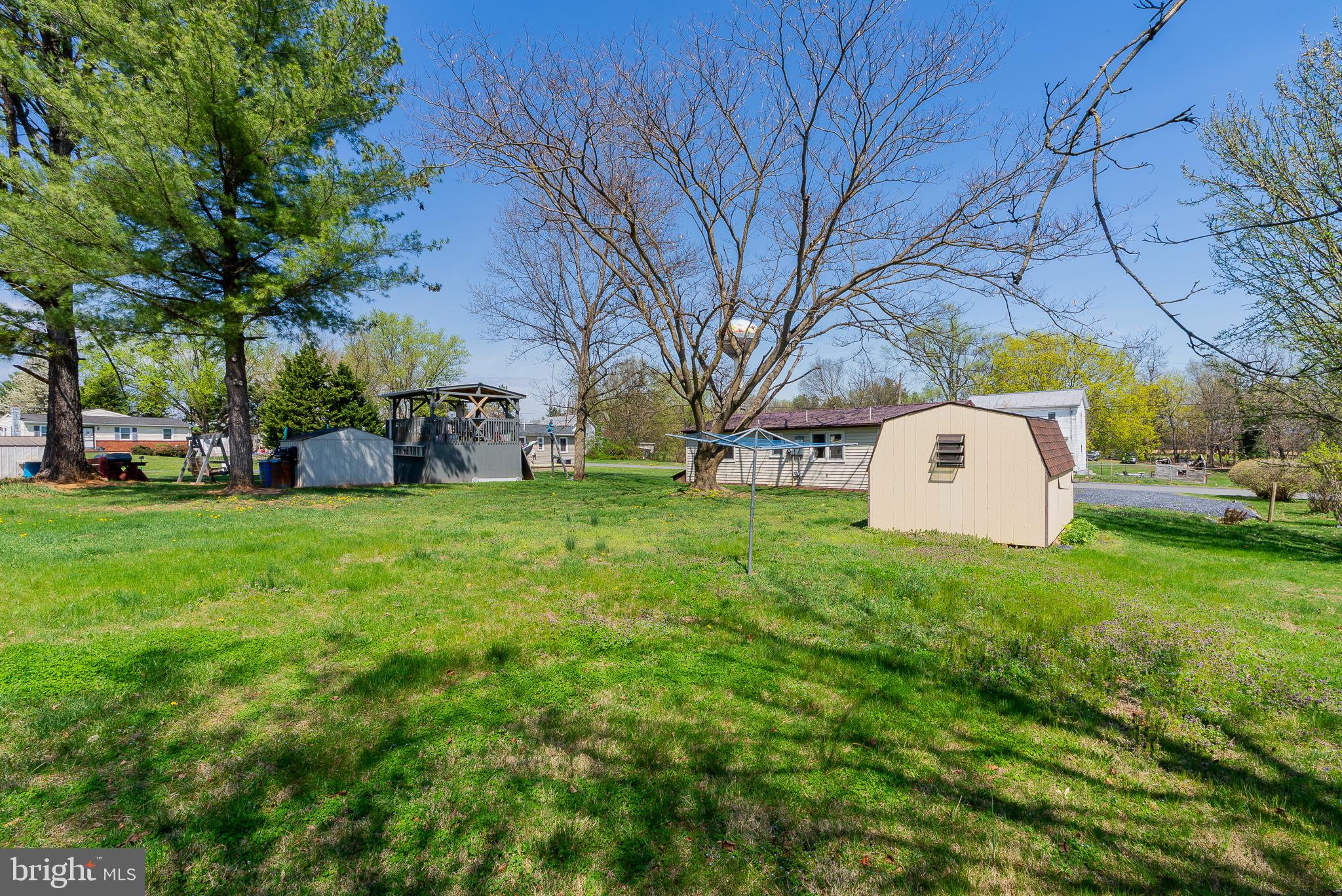 329 Dutch Mount Mount Jackson, VA 22842 - Photo 41 of 50 Spacious yard with serene greenery.