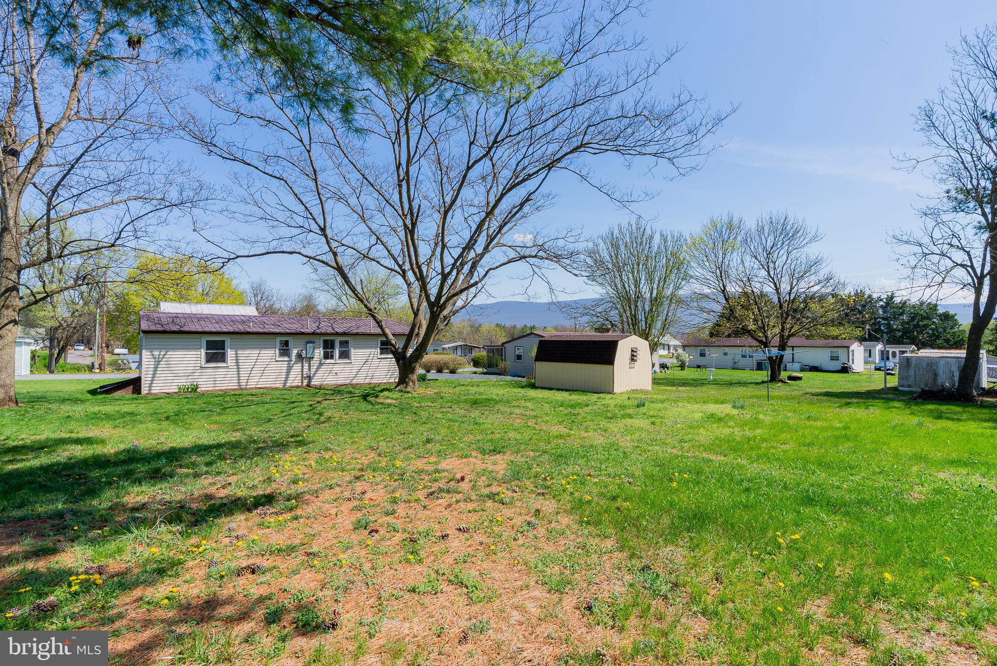 329 Dutch Mount Mount Jackson, VA 22842 - Photo 42 of 50 Spacious lot with serene surroundings.