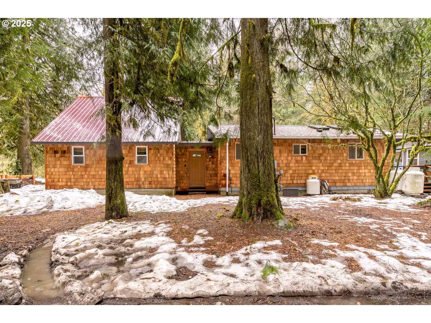 a tree in front of a white house