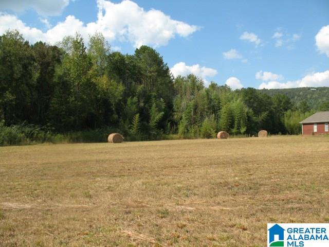 1-parcel 1-parcel Crawford Cove Road, Unit 1 LOT Springville, AL 35146 - Photo 2 of 4