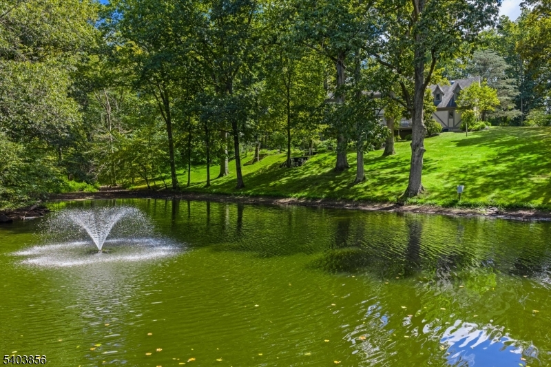 101 Sunny Branch Road Far Hills, NJ 07931 - Photo 30 of 35 a view of a lake view