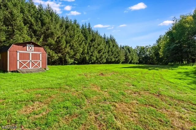 a view of a park with large trees