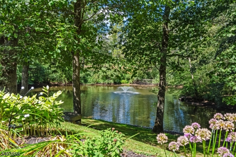 101 Sunny Branch Road Far Hills, NJ 07931 - Photo 4 of 35 a view of a lake