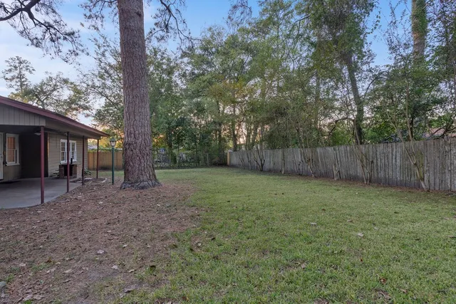 a view of a backyard with a trees and plants