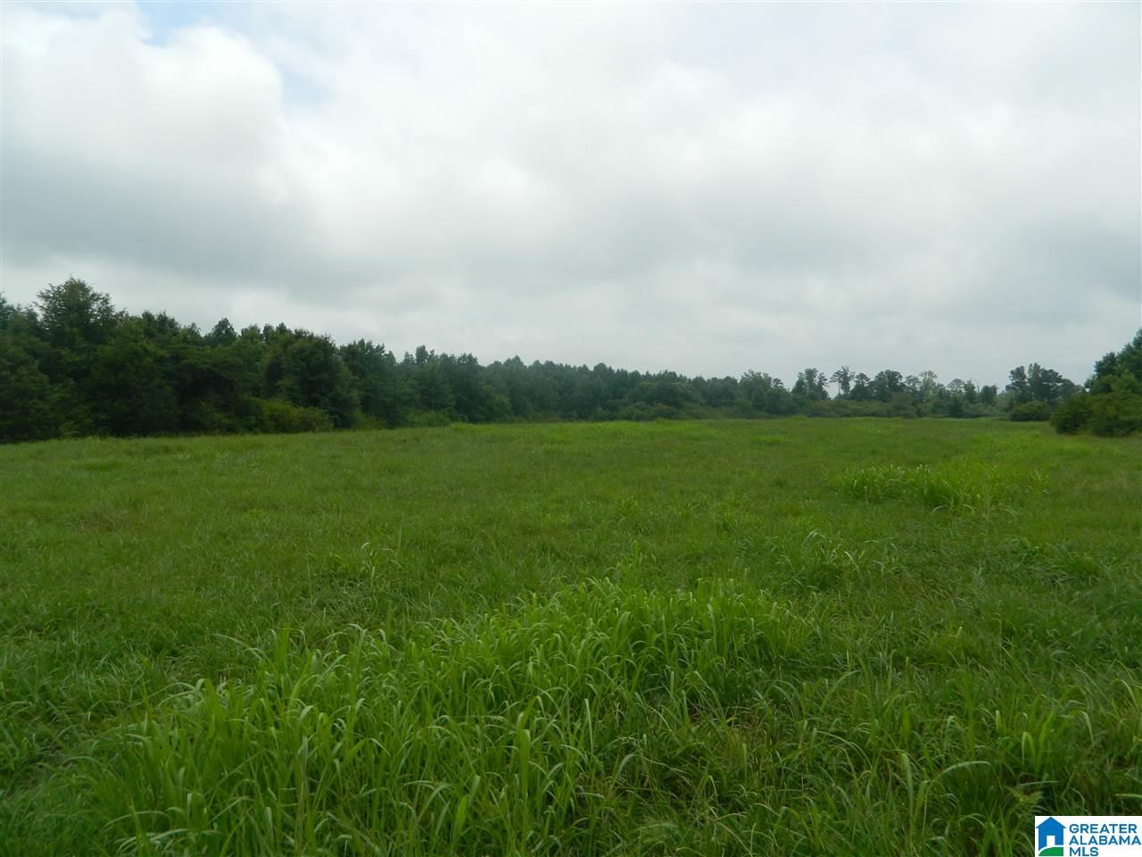 0 County Road 76 Cullman, AL 35057 - Photo 11 of 14