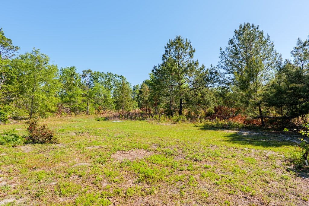 5881 Old State Road Naylor, GA 31641 - Photo 49 of 52 Gallery Image 49