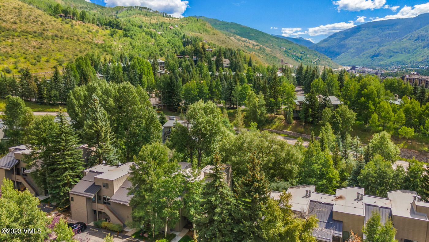 945 Red Sandstone Road, Unit B3 Vail, CO 81657 - Photo 40 of 48 a view of a garden with plants