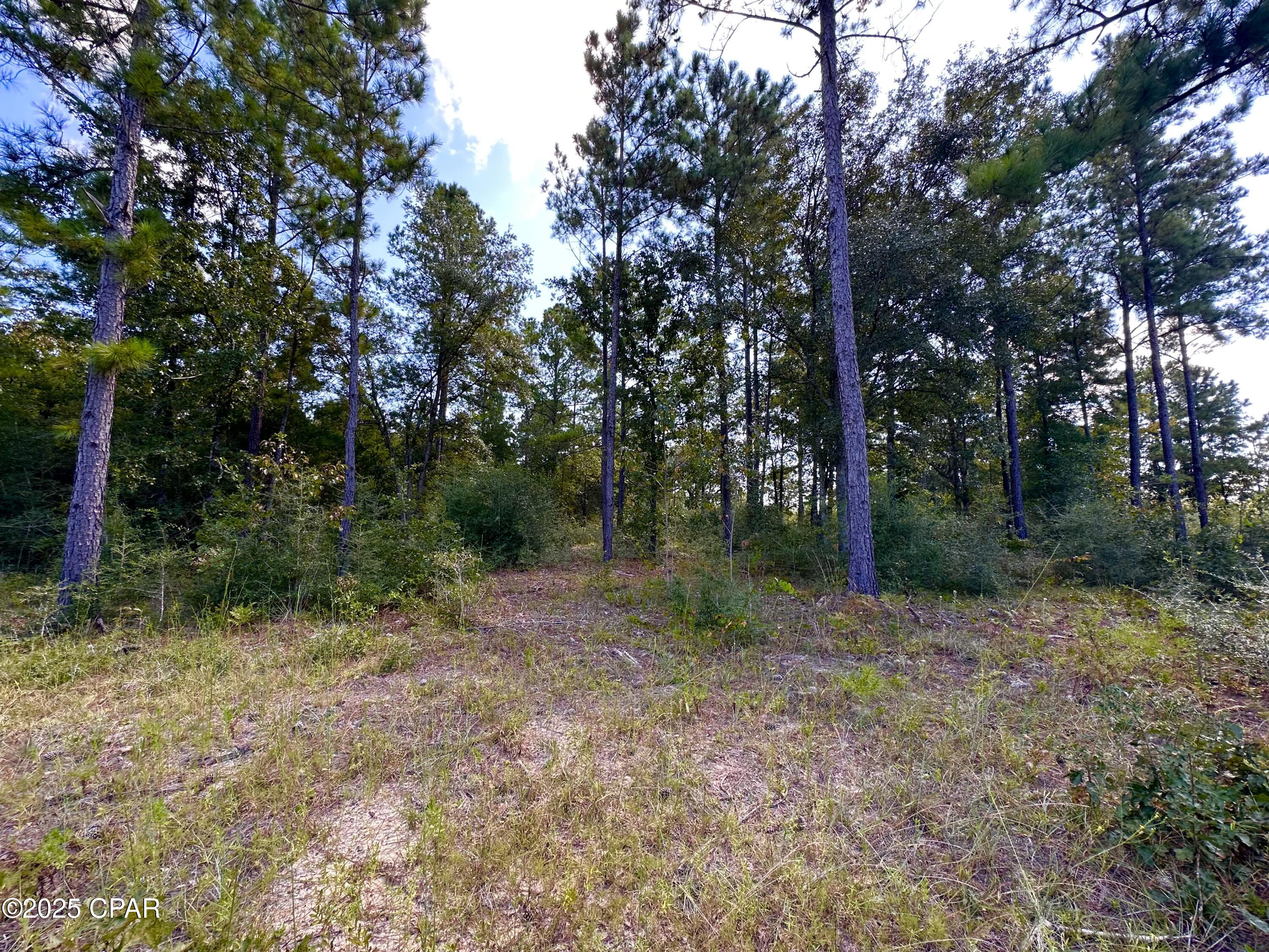 Lot 24 Fairview Road Marianna, FL 32448 - Photo 3 of 22