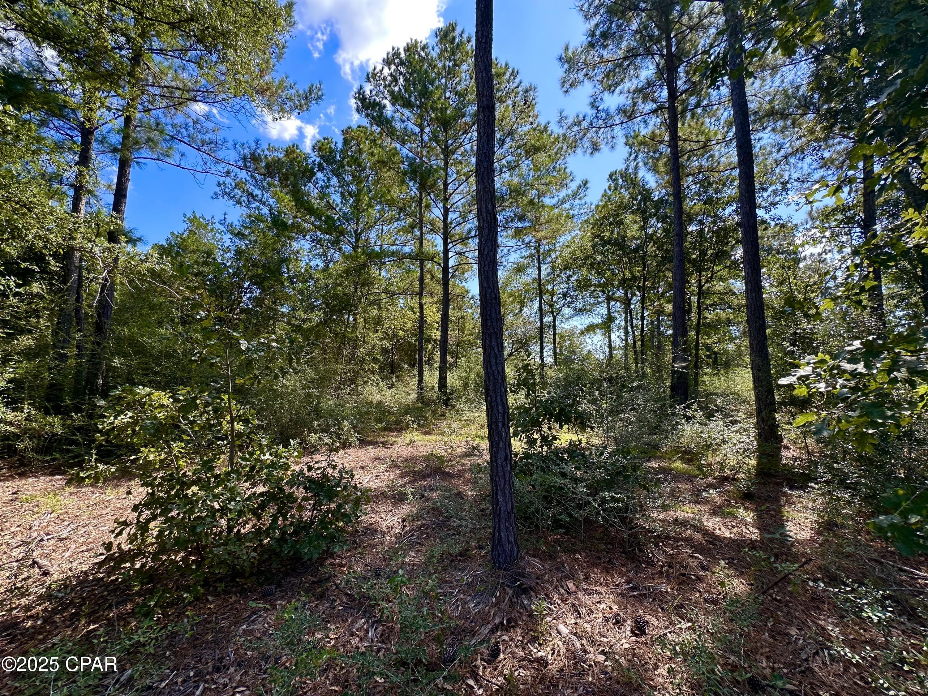 Lot 24 Fairview Road Marianna, FL 32448 - Photo 4 of 22