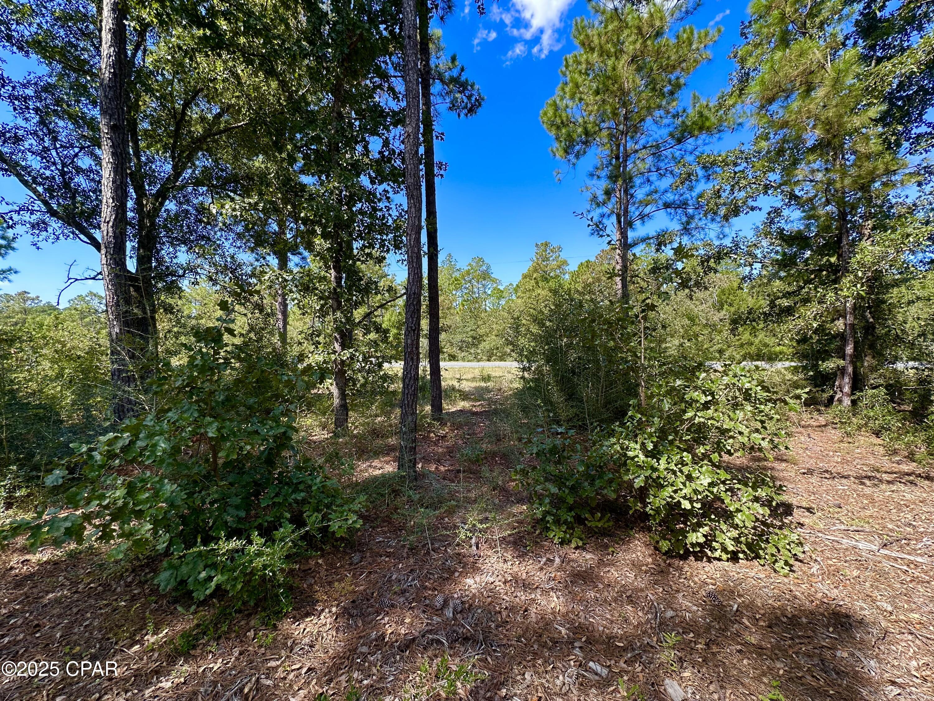 Lot 24 Fairview Road Marianna, FL 32448 - Photo 5 of 22