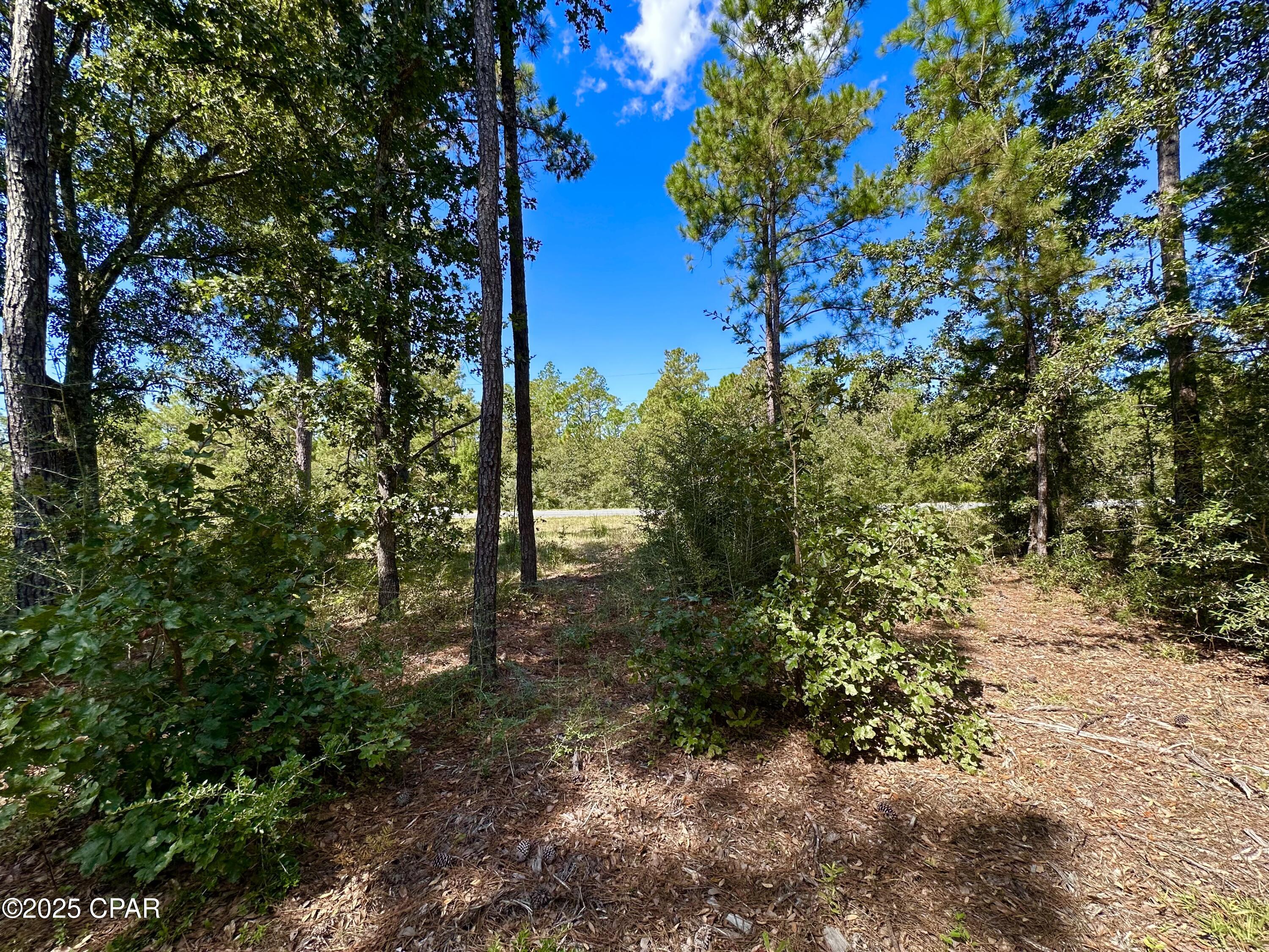 Lot 24 Fairview Road Marianna, FL 32448 - Photo 6 of 22