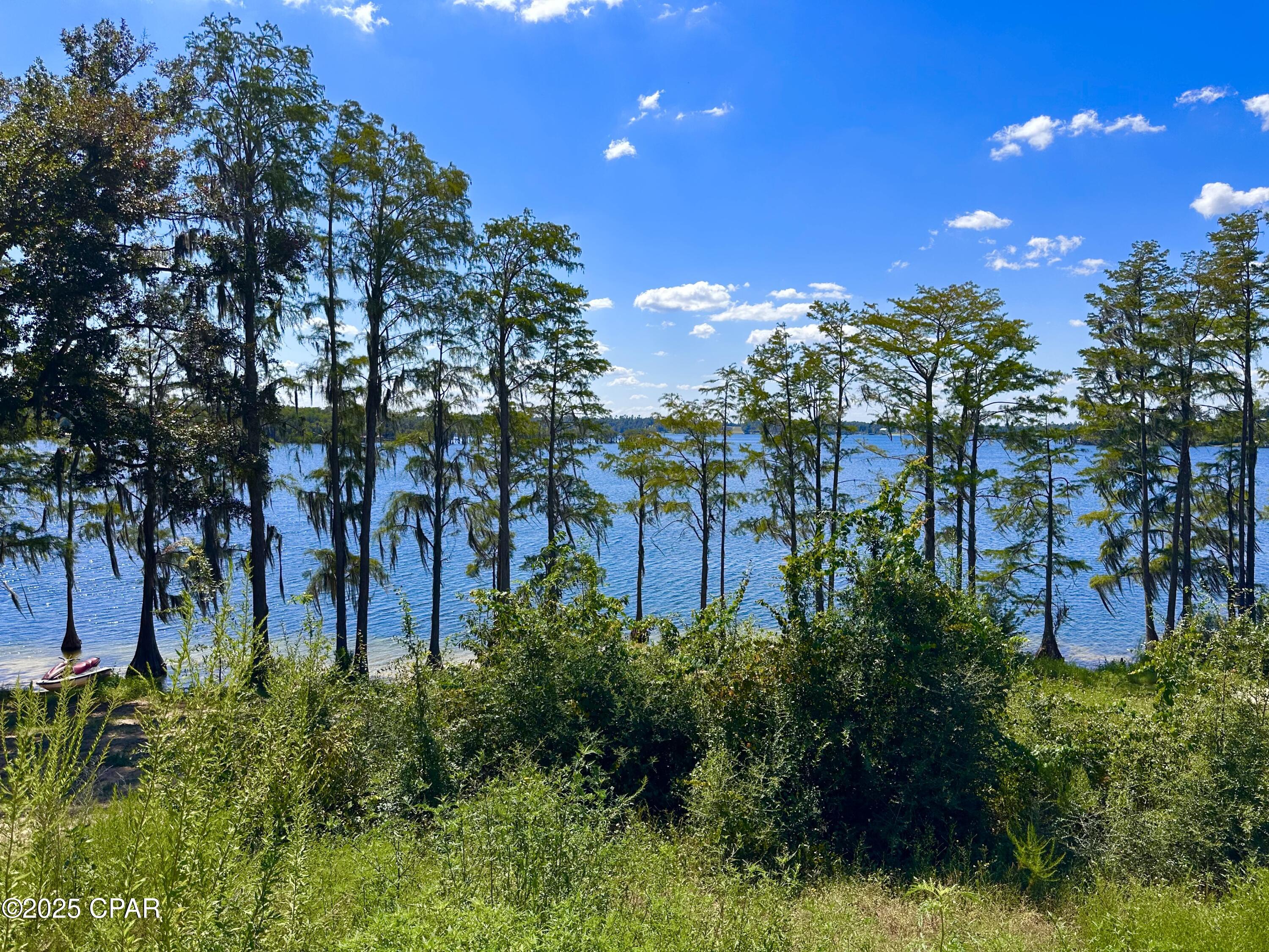 Lot 24 Fairview Road Marianna, FL 32448 - Photo 8 of 22