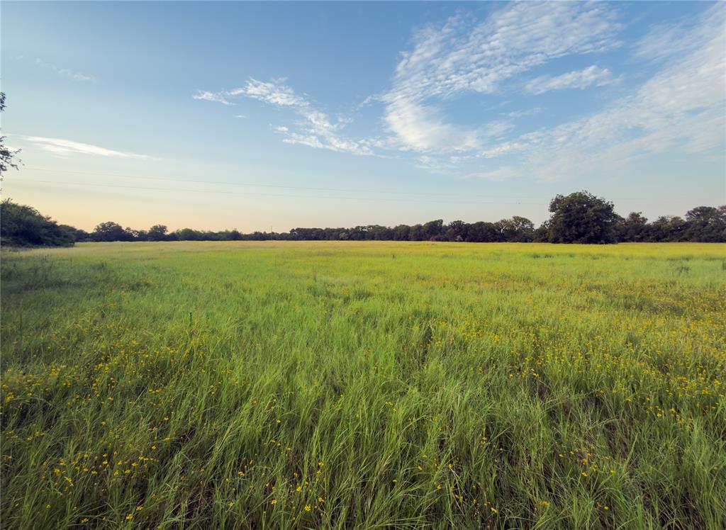 Lot 7 Wilson Road Waco, TX 76705 - Photo 2 of 9 Gallery Image 2
