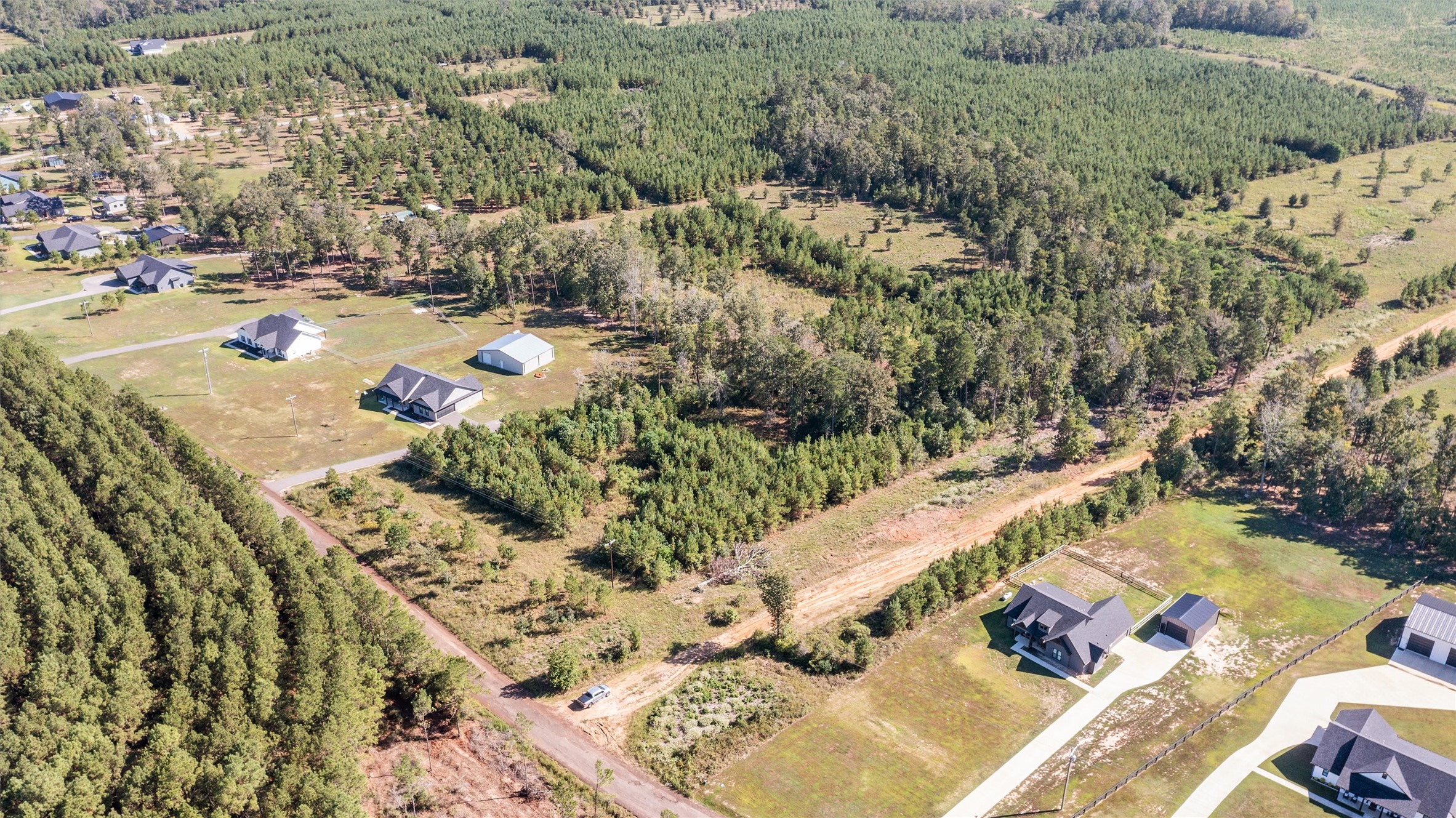 a view of a yard with a tree