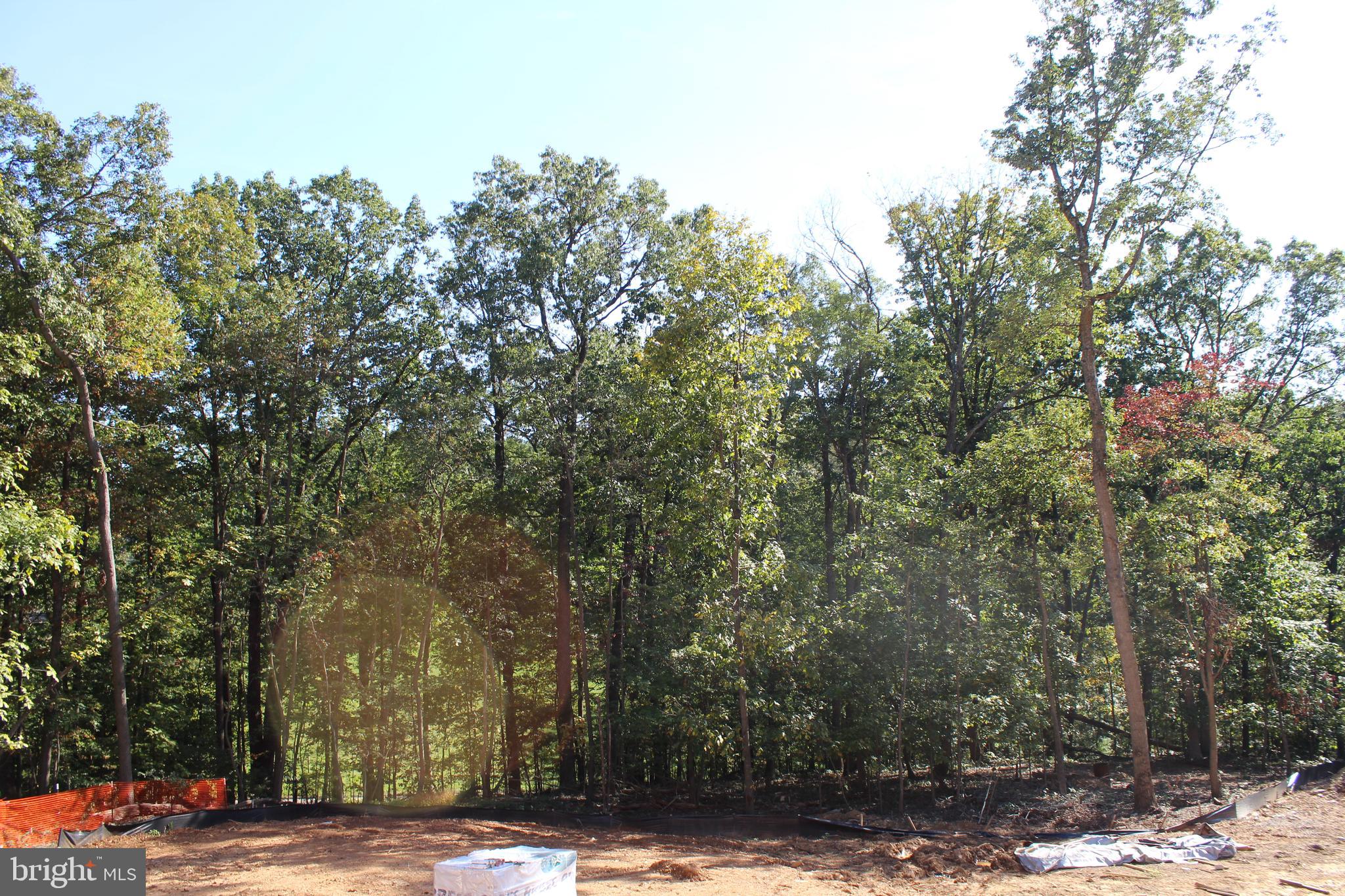 2624 Bachman Road Manchester, MD 21102 - Photo 18 of 18 a view of road with trees