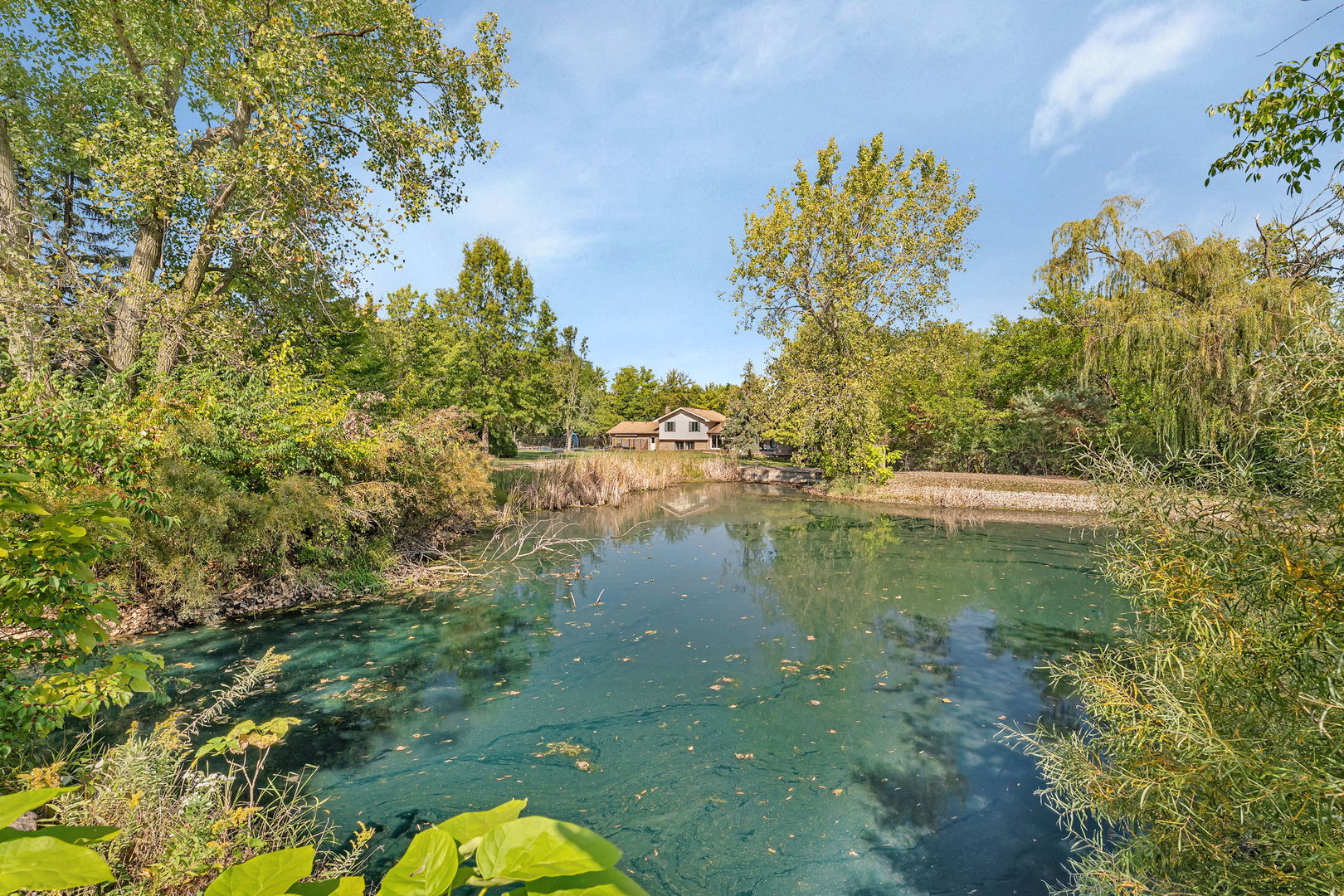 9417 West Steger Road Frankfort, IL 60423 - Photo 33 of 52 a view of a lake from a yard