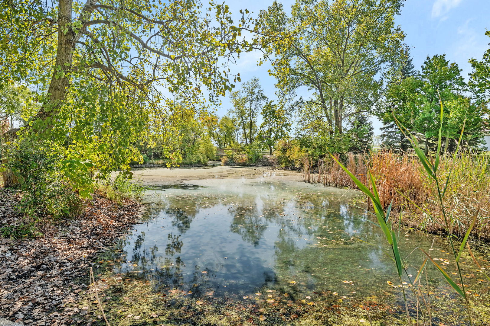 9417 West Steger Road Frankfort, IL 60423 - Photo 34 of 52