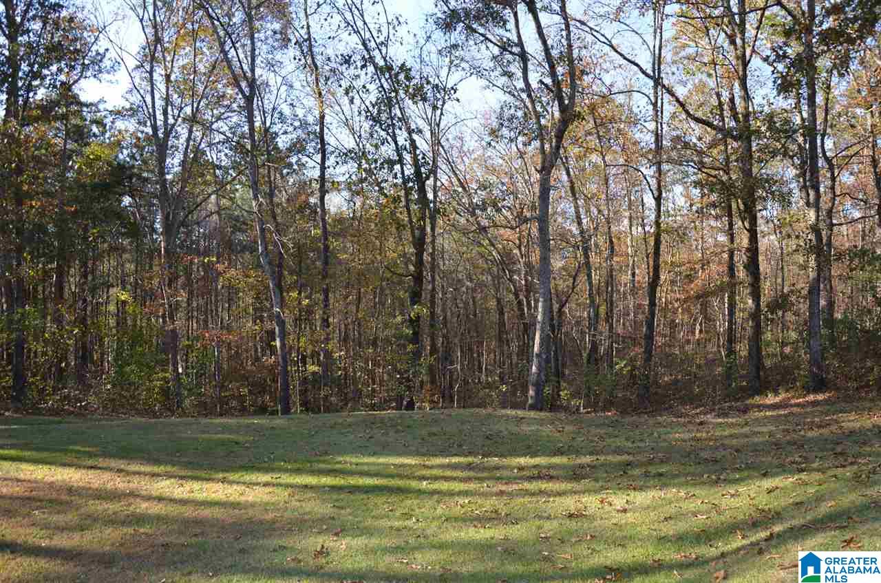 1201 Arklow Road Weaver, AL 36277 - Photo 8 of 42