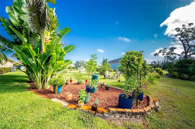 a bunch of flowers in a garden