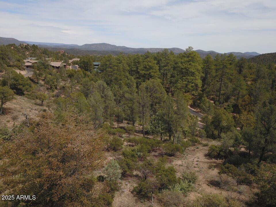 106 South Stewart Vista Road, Unit 201 Payson, AZ 85541 - Photo 4 of 7 a view of a city with lush green forest