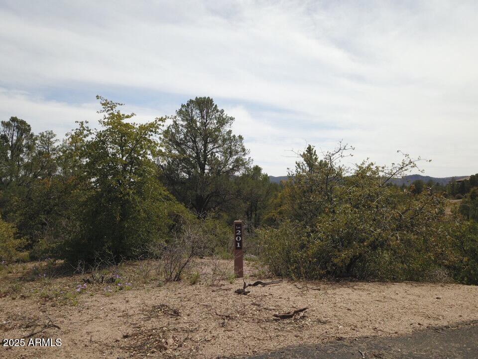 106 South Stewart Vista Road, Unit 201 Payson, AZ 85541 - Photo 6 of 7 a view of outdoor space with mountain view