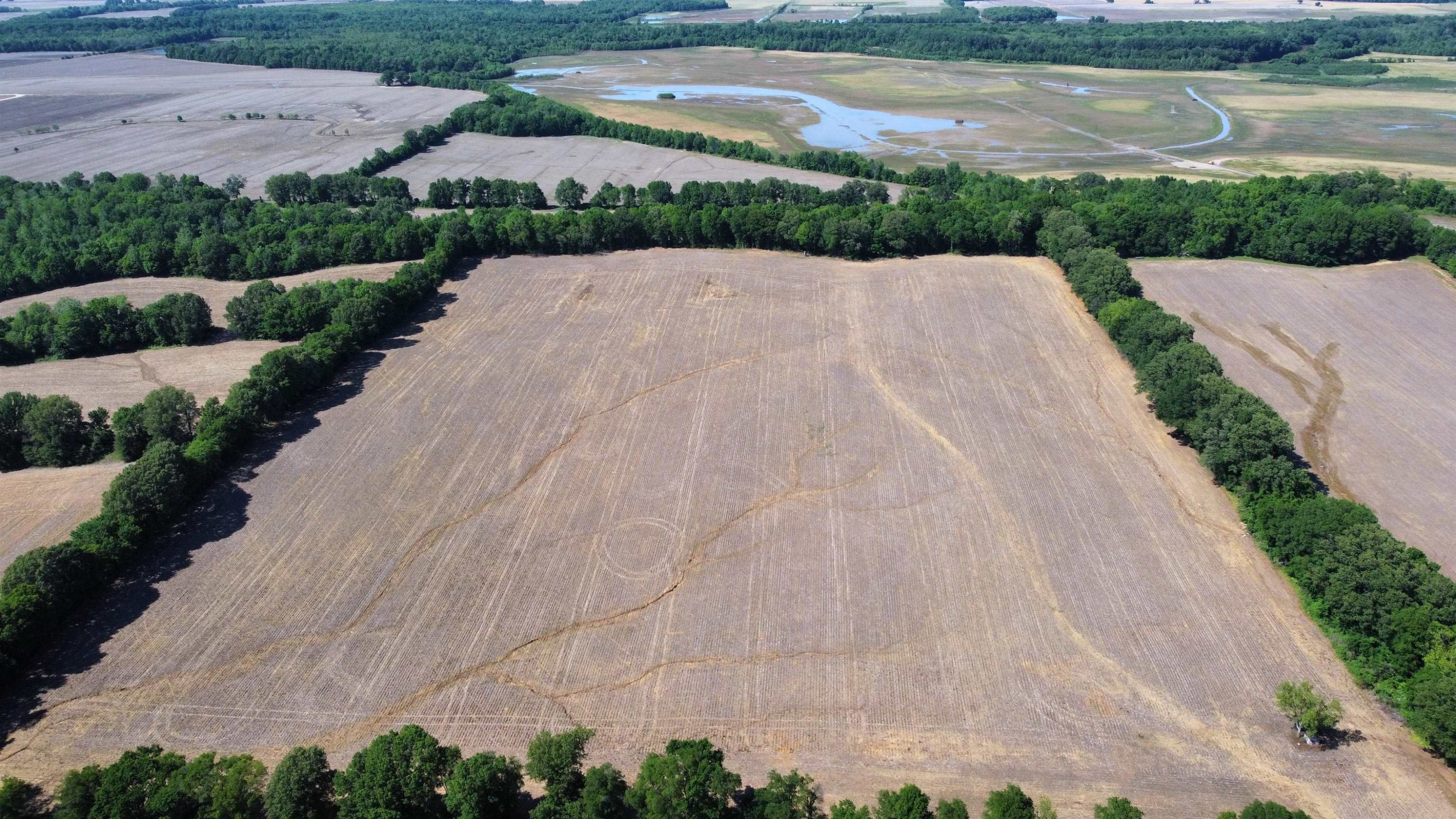 0 Biffle Road Newbern, TN 38059 - Photo 2 of 8 a view of a lake with a yard and large trees