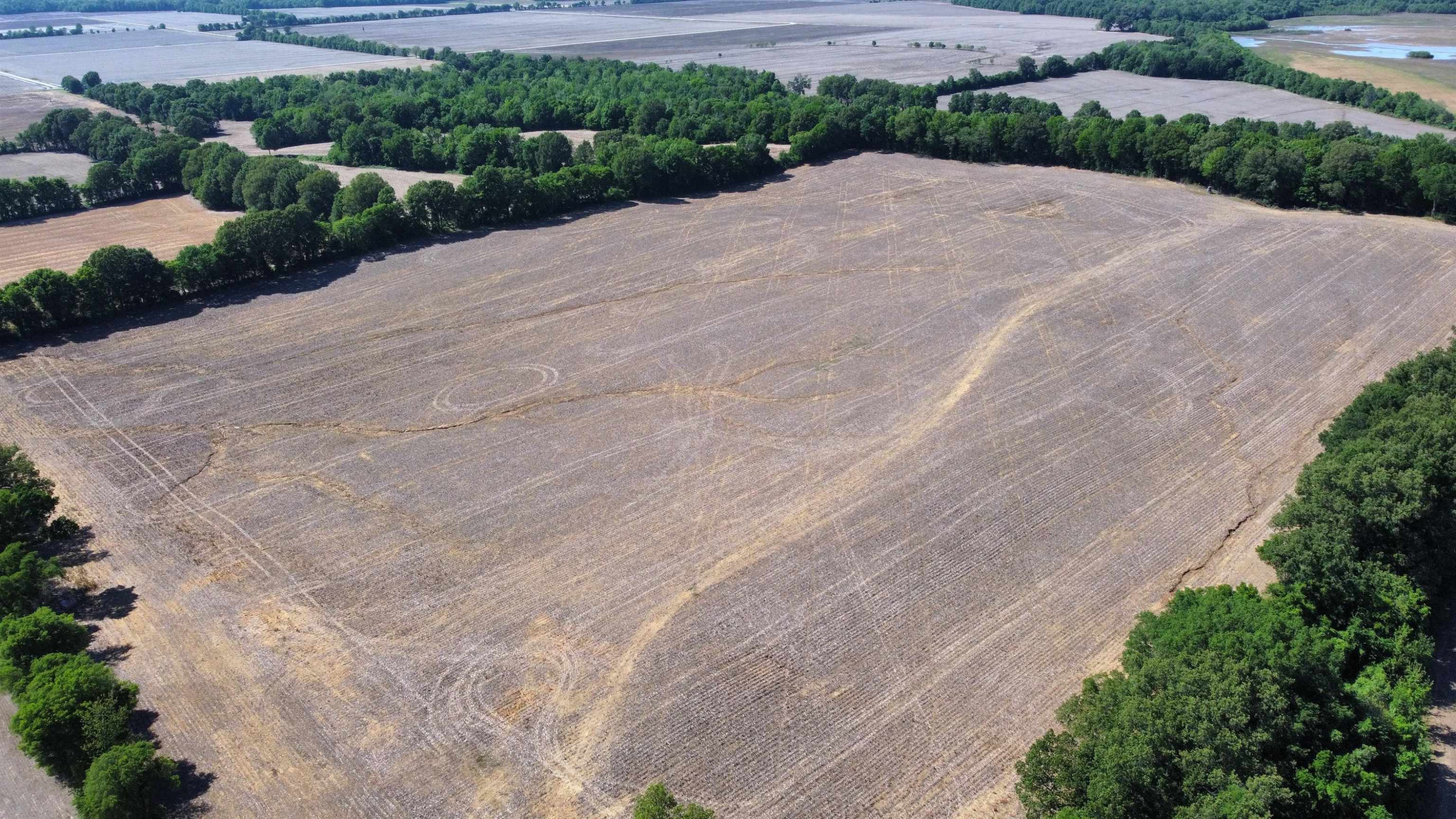 0 Biffle Road Newbern, TN 38059 - Photo 3 of 8 a view of a road with a yard