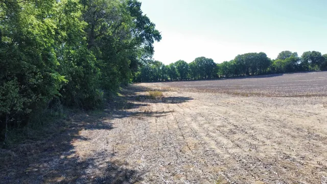 a view of lake with green space