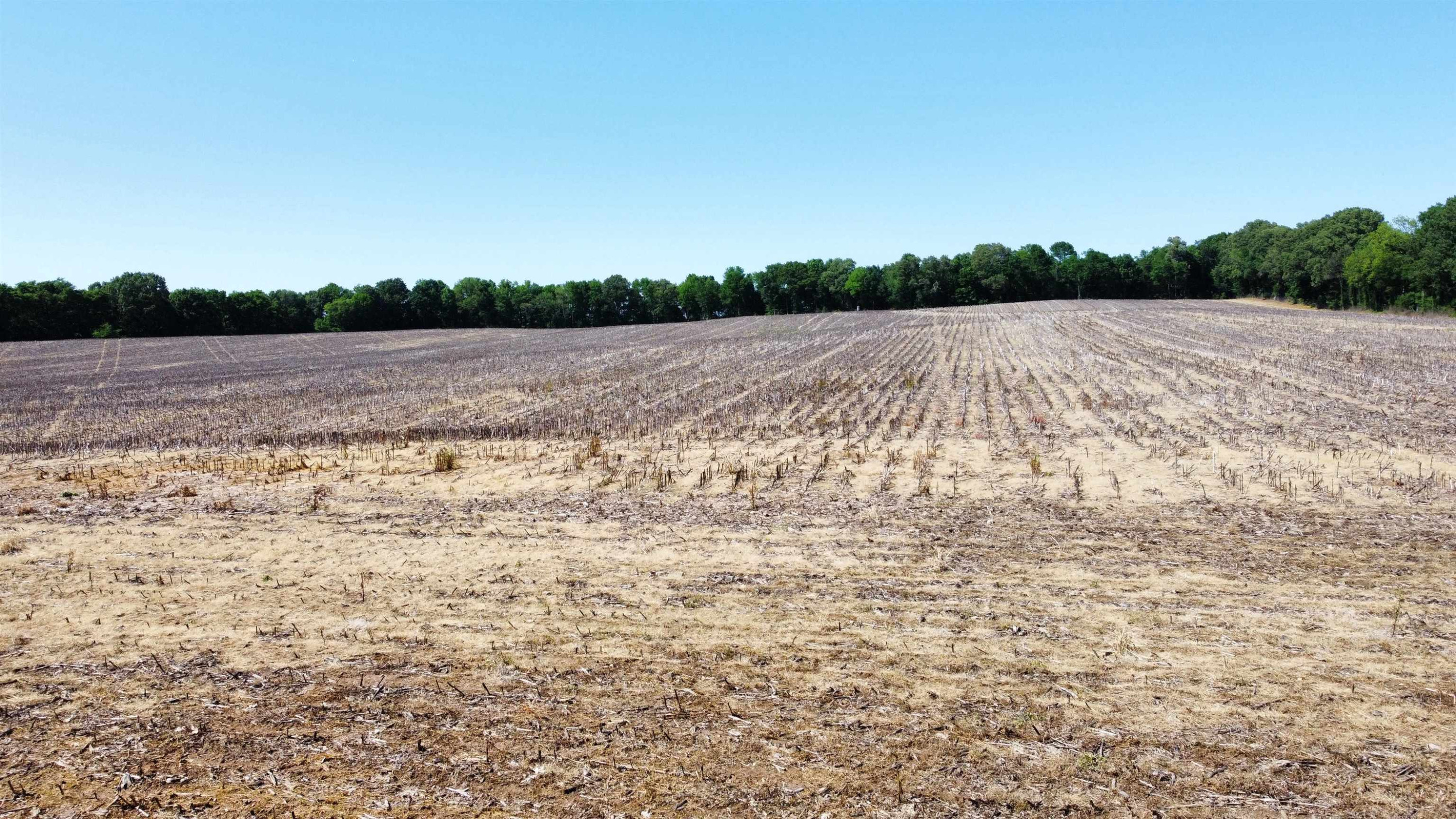 0 Biffle Road Newbern, TN 38059 - Photo 6 of 8 a view of lake and mountain view