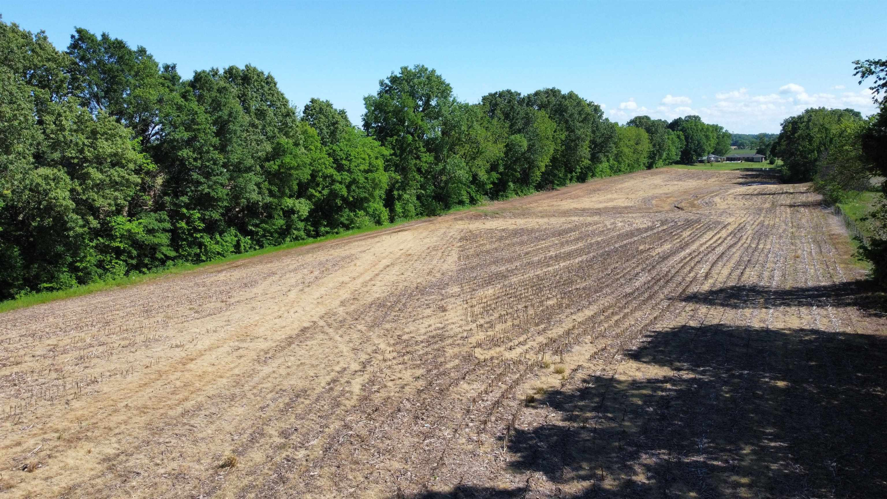 0 Biffle Road Newbern, TN 38059 - Photo 7 of 8 a view of a backyard of a house