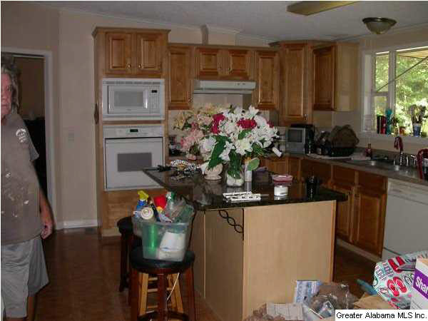 14329 Rockhouse Road Brookwood, AL 35444 - Photo 10 of 21