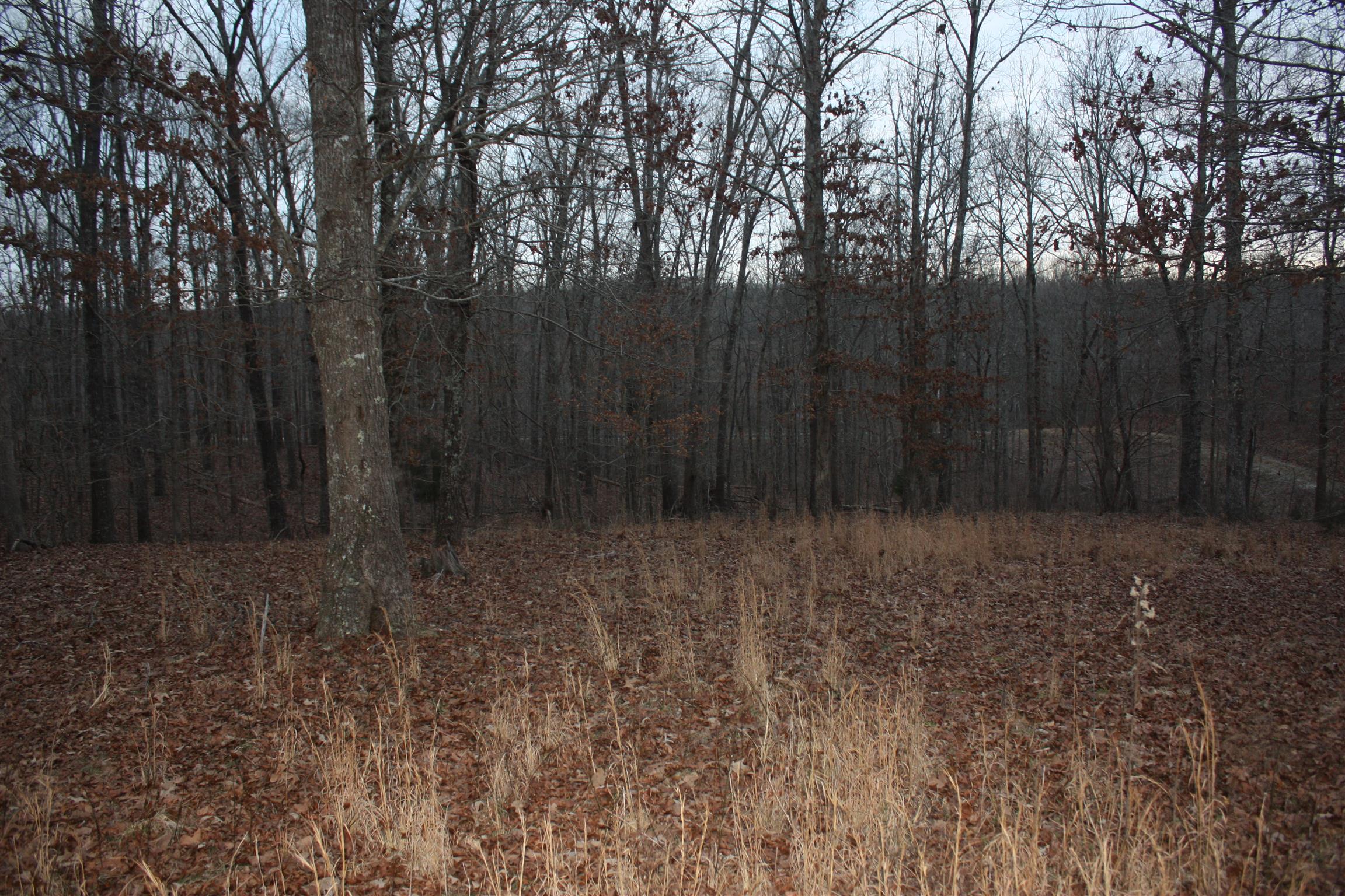 257 Railroad Bed Road Summertown, TN 38483 - Photo 8 of 8 Gallery Image 8