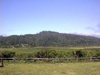 10 Los Reyes Drive Point Reyes Station, CA 94956 - Photo 3 of 10 Gallery Image 3