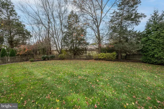 a view of field with trees in the background